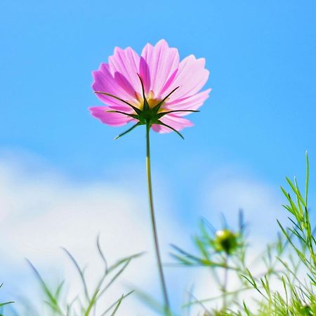 골든 호텔 동하 외부 사진